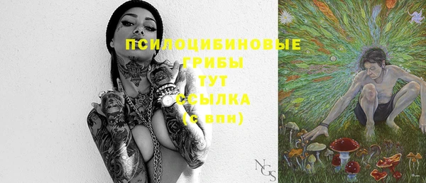сатива Нея